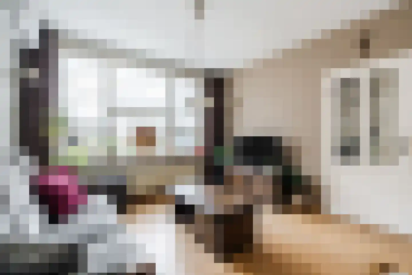 Rector de Vethstraat 5 De Mortel thumbnail 8