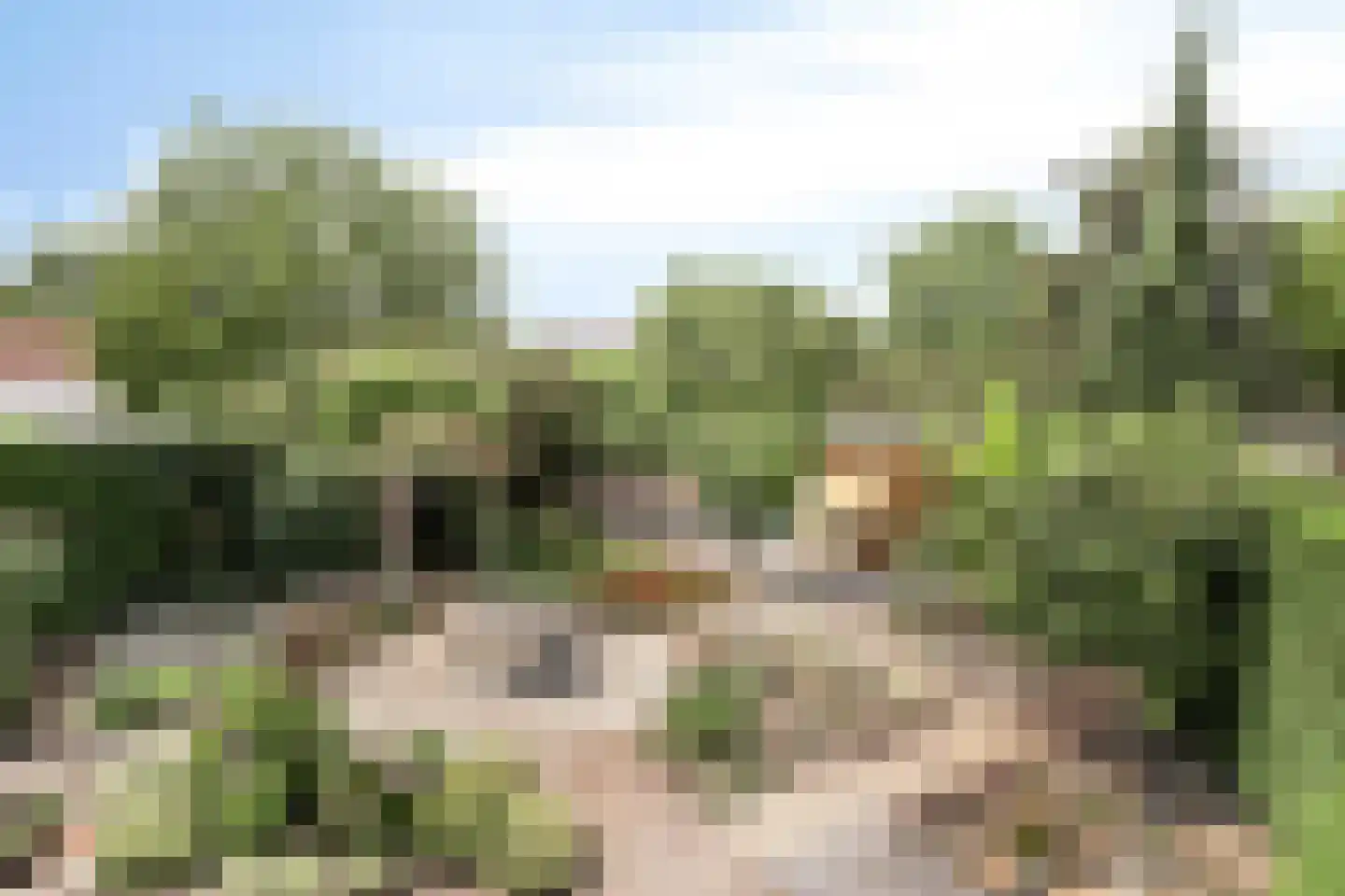 Rector Hendrixstraat 27 Maasbracht thumbnail 47