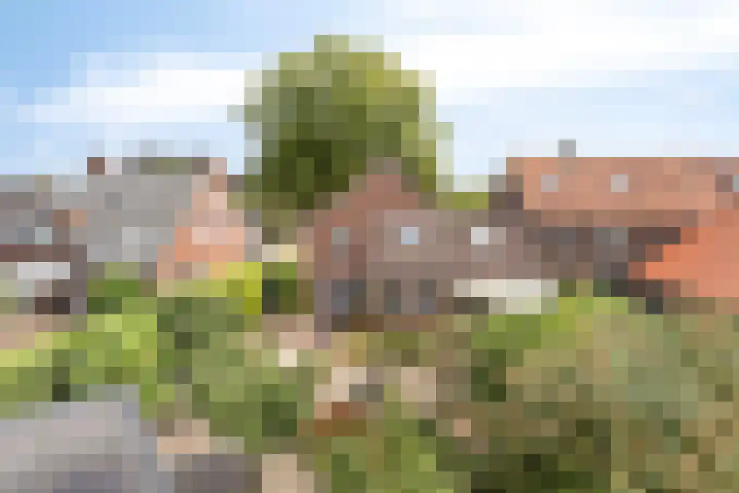 Rector Hendrixstraat 27 Maasbracht thumbnail 48