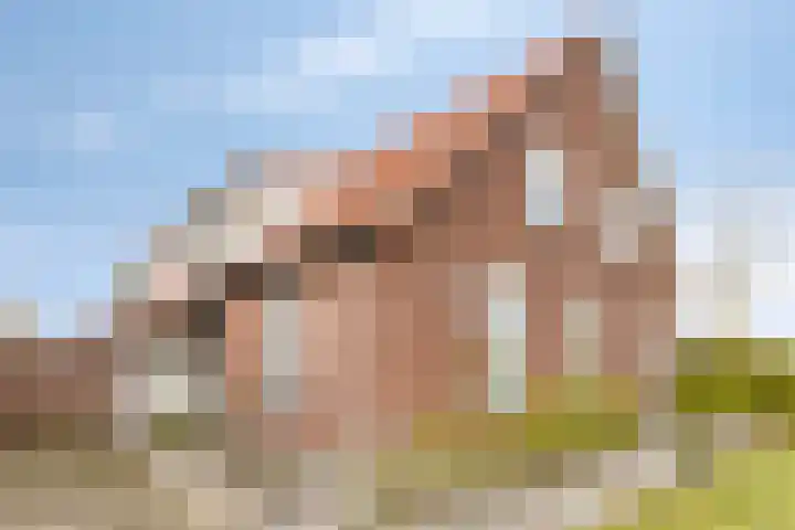 Rector Hulshofstraat 7 Harreveld thumbnail 34