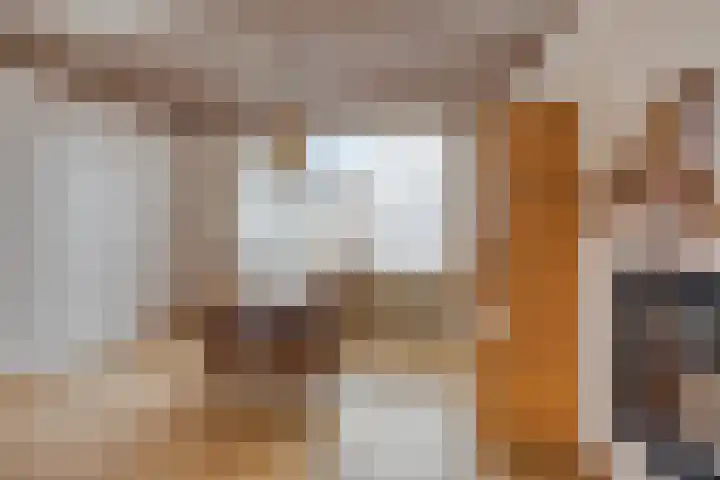 Rector Luytenstraat 20 Handel thumbnail 21