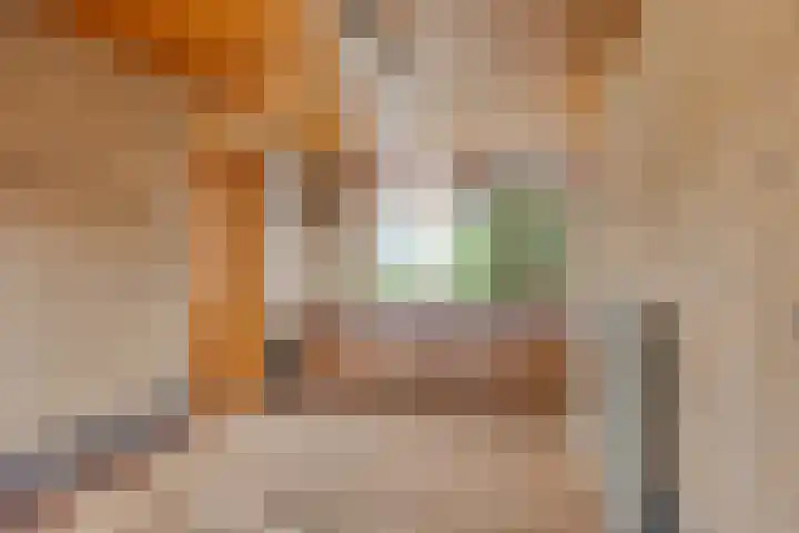 Rector Luytenstraat 20 Handel thumbnail 30