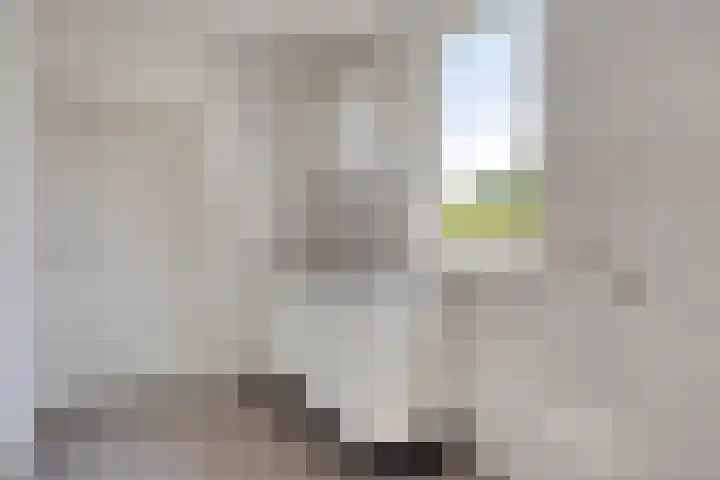 Rector Meuffelsstraat 2 Susteren thumbnail 13