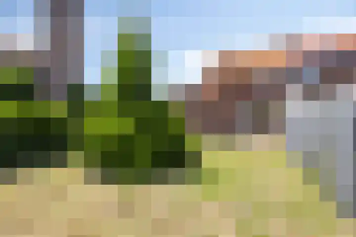 Rector Meuffelsstraat 2 Susteren thumbnail 7