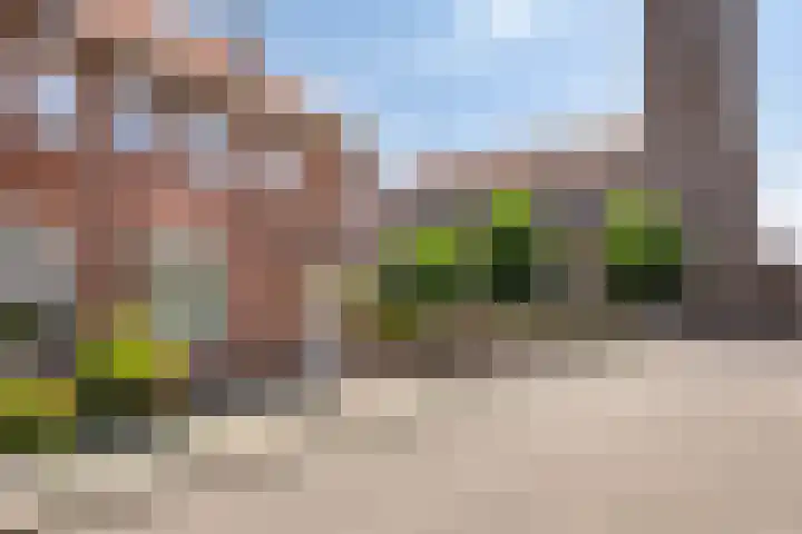 Rector Meuffelsstraat 2 Susteren thumbnail 8