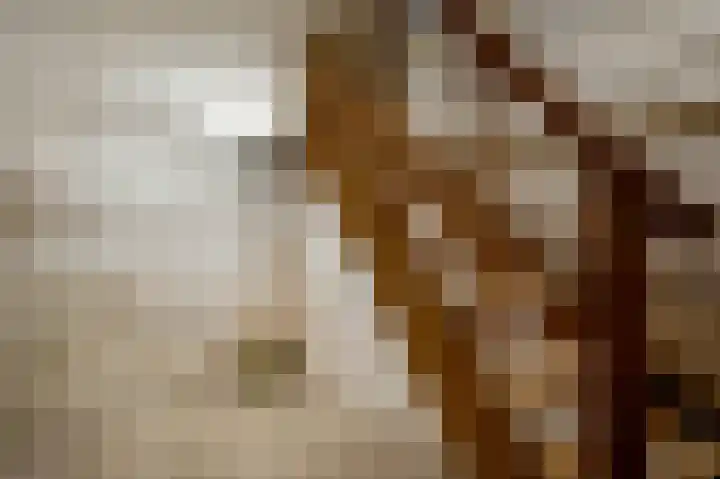 Rector Meuffelsstraat 5 Susteren thumbnail 21