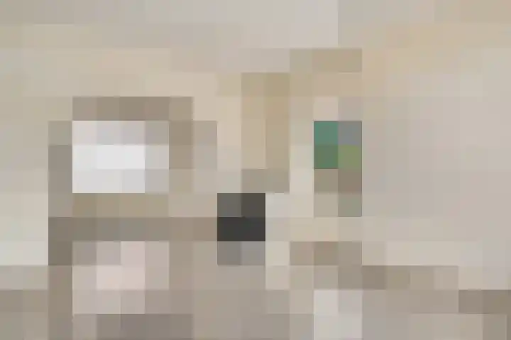 Rector Meuffelsstraat 5 Susteren thumbnail 6