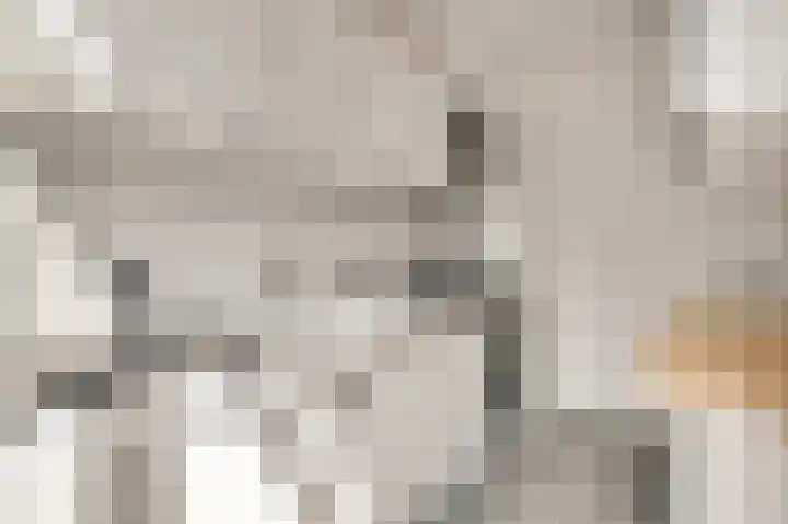 Rector Meuffelsstraat 5 Susteren thumbnail 7