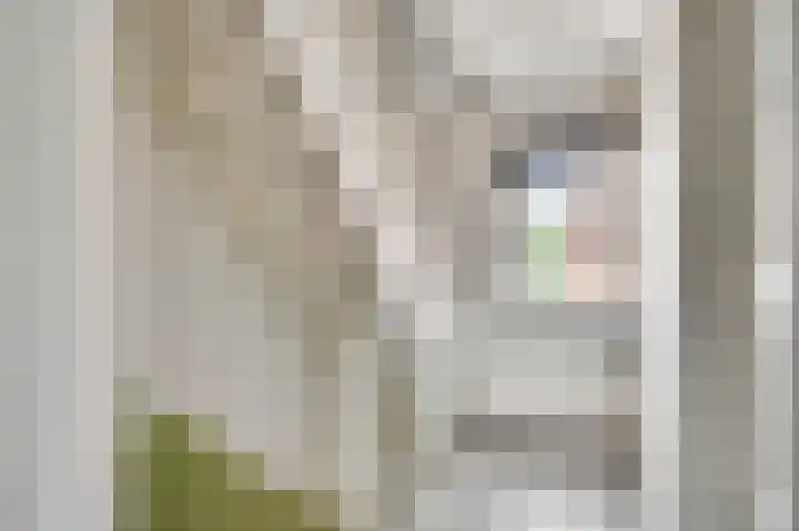 Rector Meuffelsstraat 5 Susteren thumbnail 8