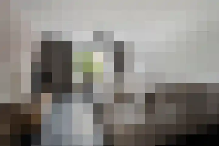 Rector Meuffelsstraat 9 Susteren thumbnail 5