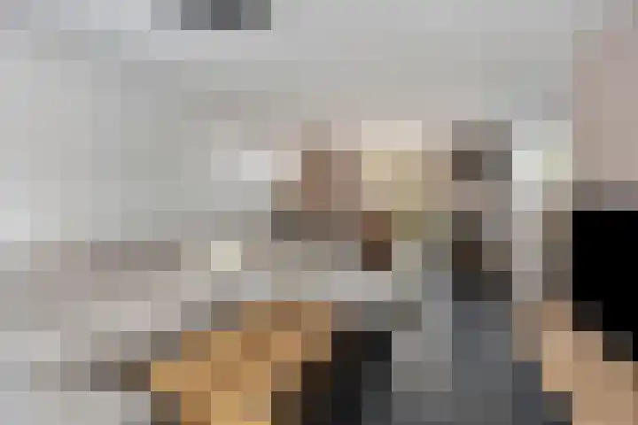 Rector Meuffelsstraat 9 Susteren thumbnail 6