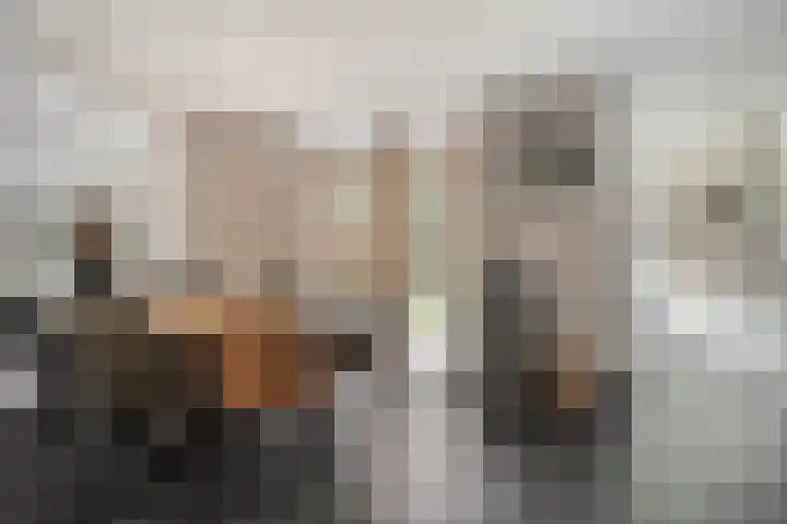 Rector Meuffelsstraat 9 Susteren thumbnail 7