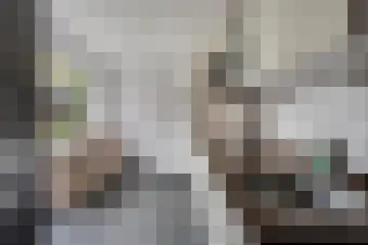 Rector Meuffelsstraat 9 Susteren thumbnail 9