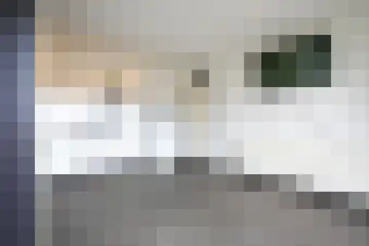 Rector Meussenstraat 37 Landgraaf thumbnail 8