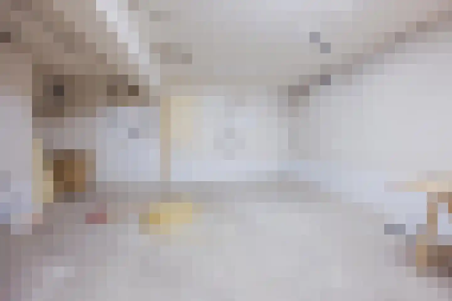 Rector Mulderstraat 1 Melderslo thumbnail 29
