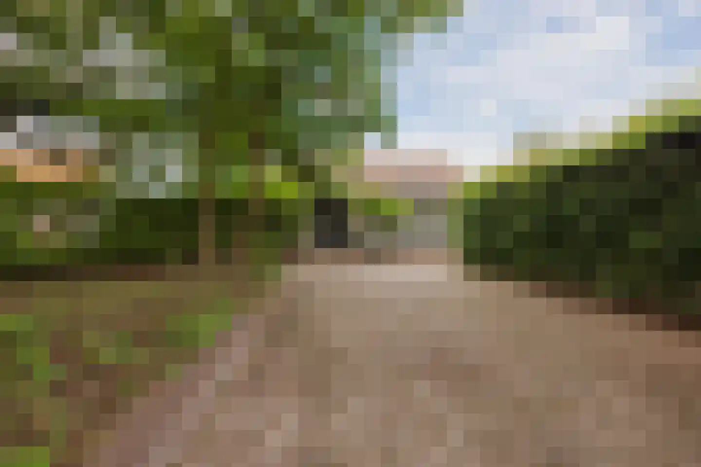 Rector Mulderstraat 1 Melderslo thumbnail 60