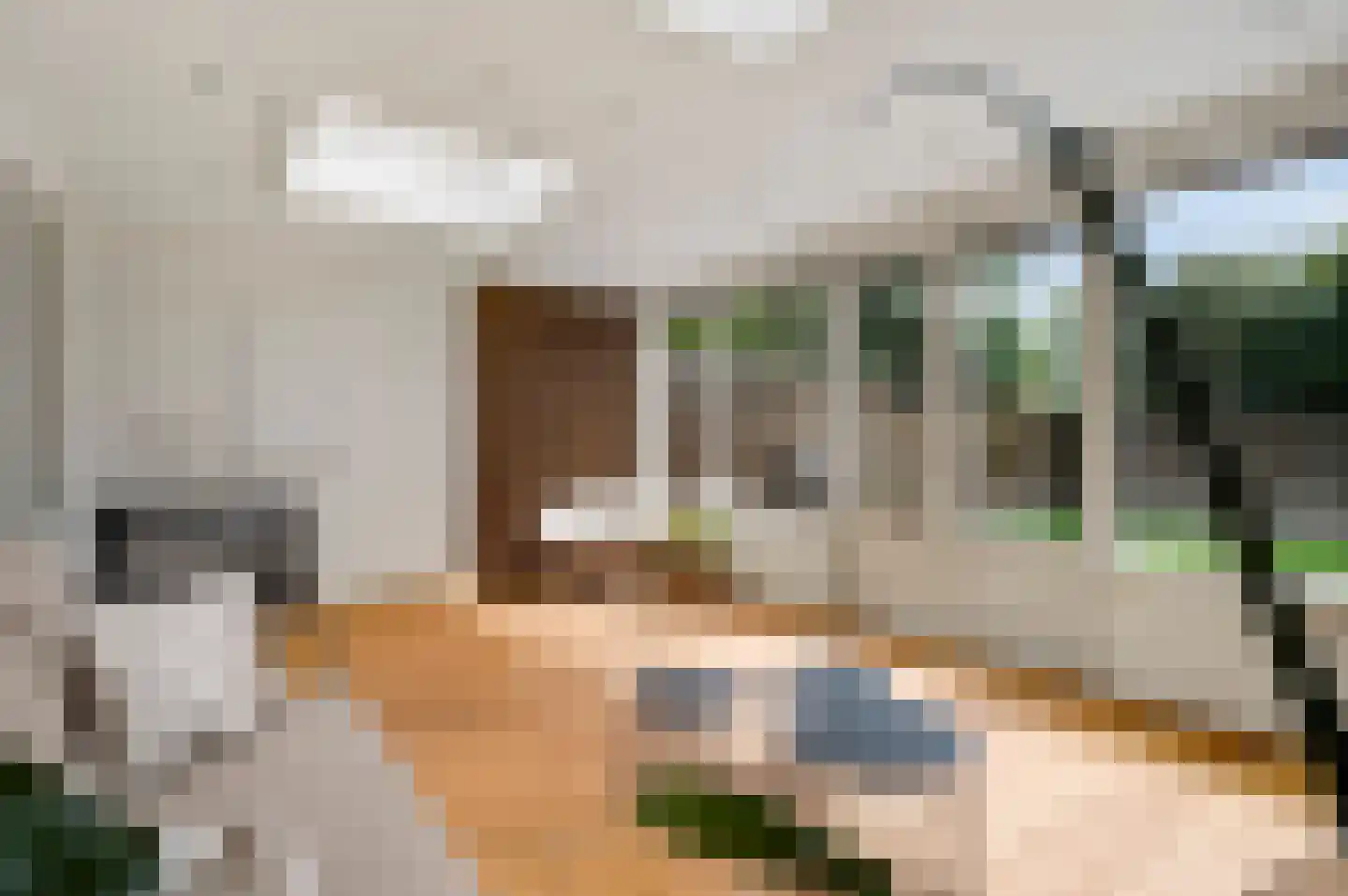 Rector Nabbenstraat 10 Leunen thumbnail 32