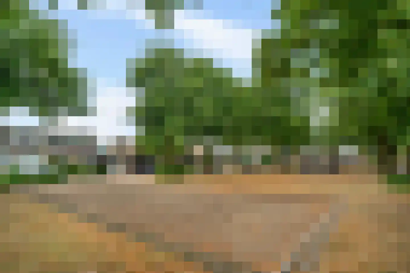 Rector Nabbenstraat 10 Leunen thumbnail 9