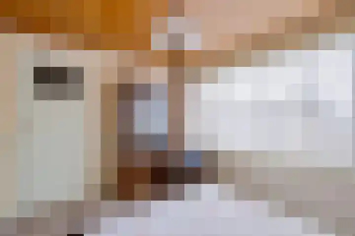 Rector van Lieropstraat 1 Oss thumbnail 17