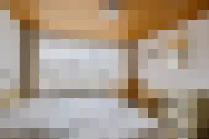 Rector van Lieropstraat 1 Oss thumbnail 21