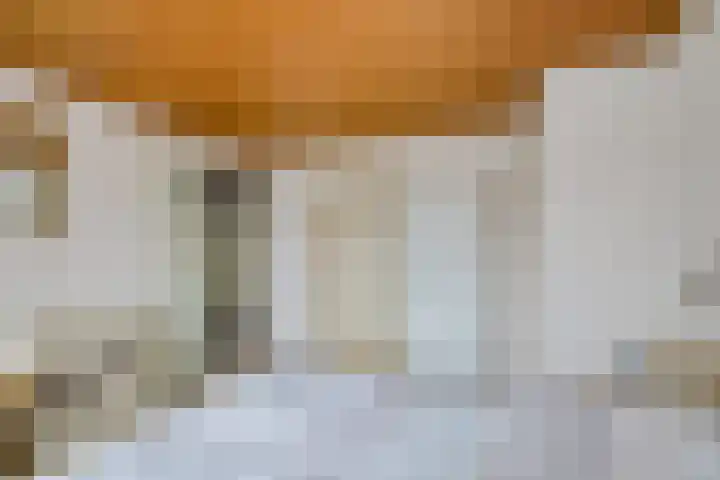 Rector van Lieropstraat 1 Oss thumbnail 22
