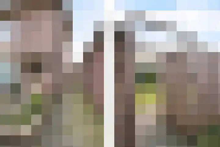 Rector van Lieropstraat 1 Oss thumbnail 32