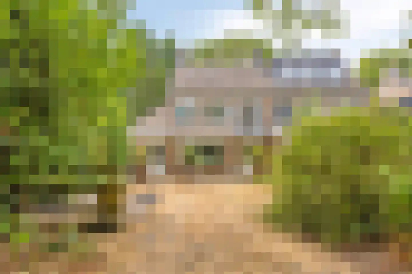 Rector Zwijsenlaan 30 Rosmalen thumbnail 32