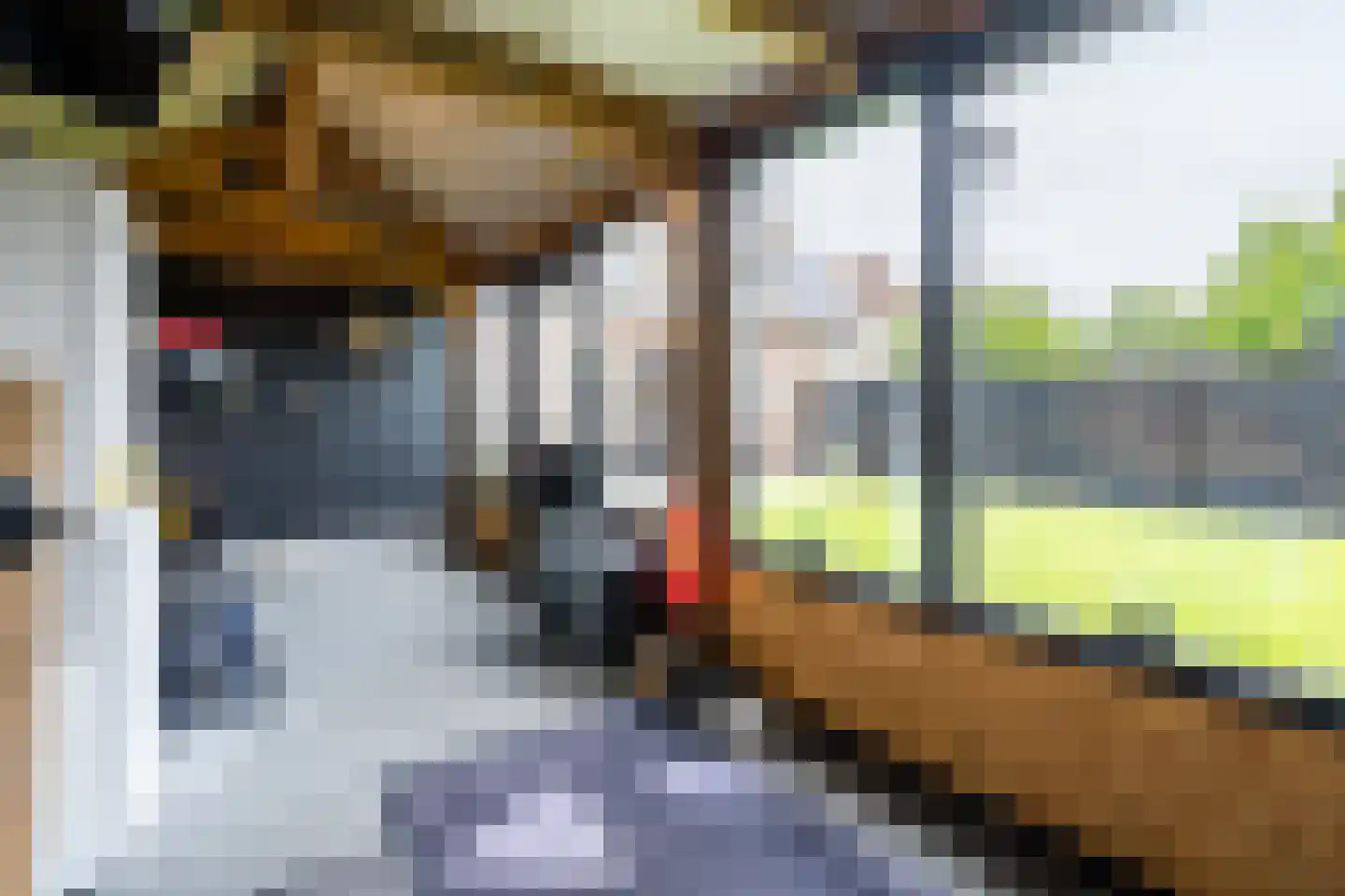 Rectorijstraat 28 Weert thumbnail 45