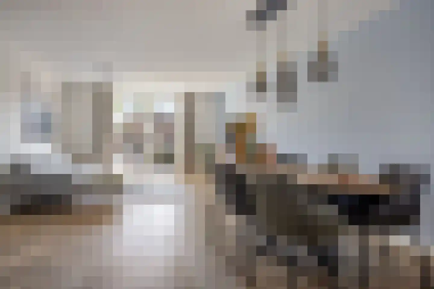 Rectorstraat 5 Berkel-Enschot thumbnail 4