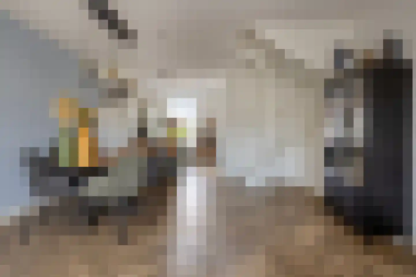 Rectorstraat 5 Berkel-Enschot thumbnail 6