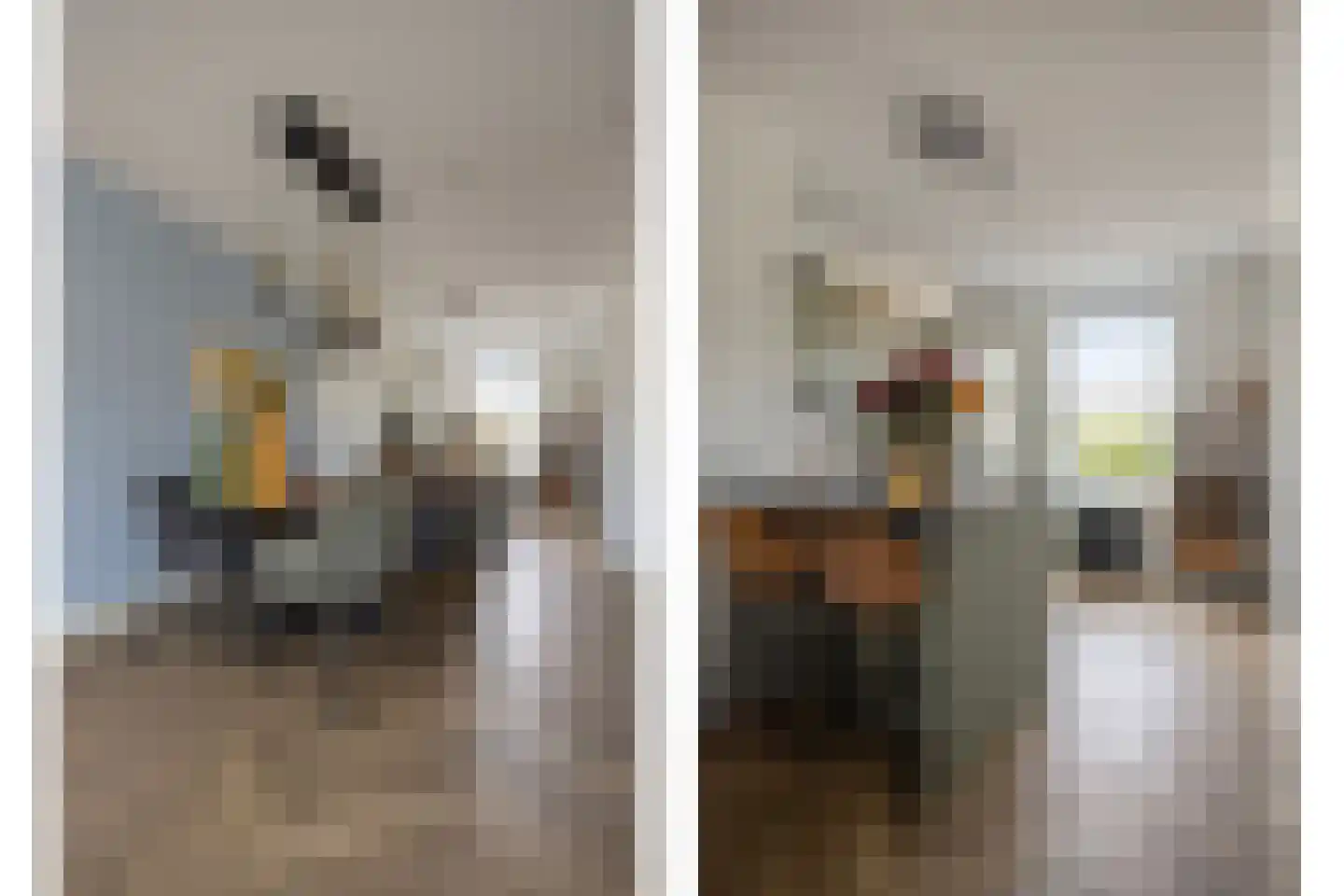 Rectorstraat 5 Berkel-Enschot thumbnail 7