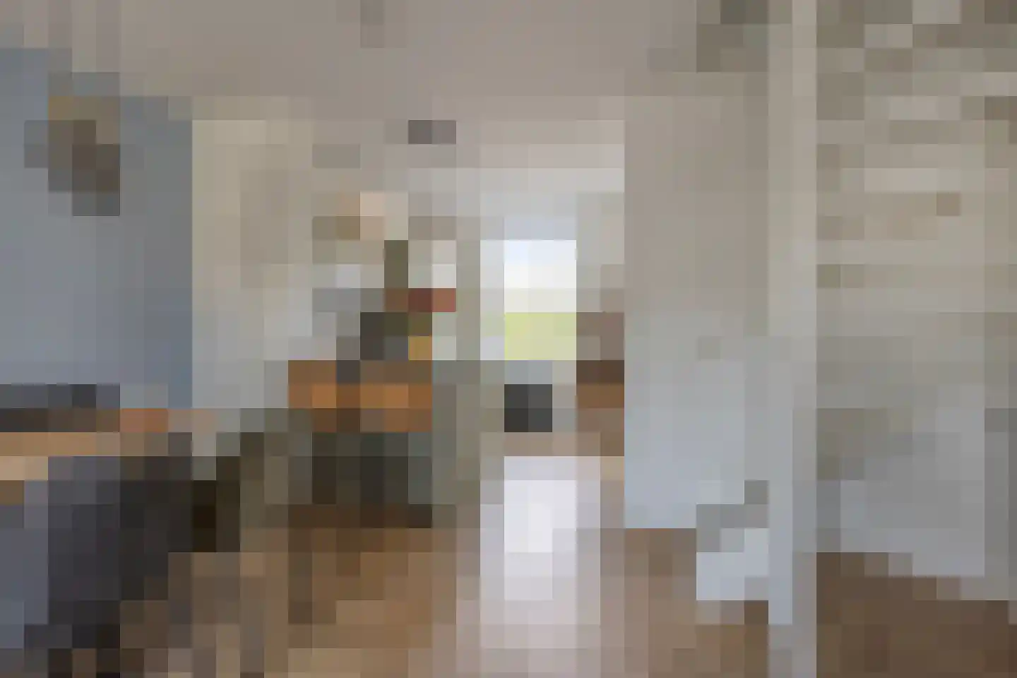 Rectorstraat 5 Berkel-Enschot thumbnail 8
