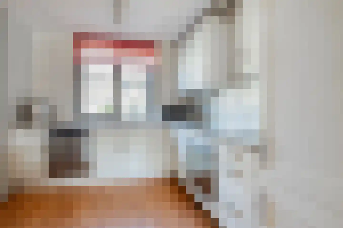 Red Debroystraat 32 Rotterdam thumbnail 13