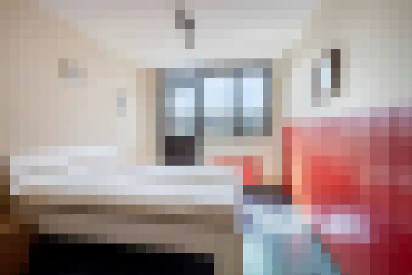 Red Debroystraat 32 Rotterdam thumbnail 17