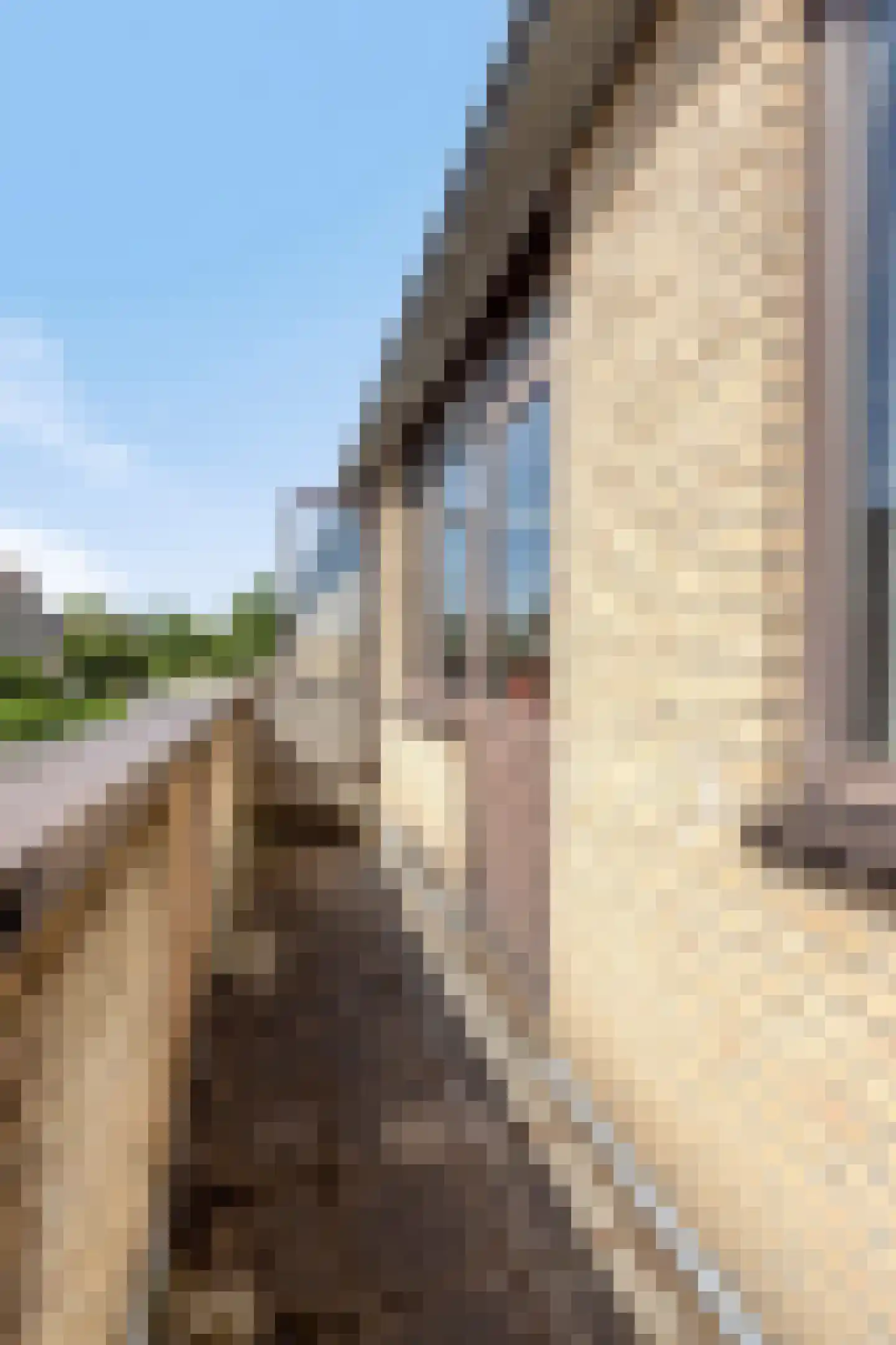 Red Debroystraat 32 Rotterdam thumbnail 19
