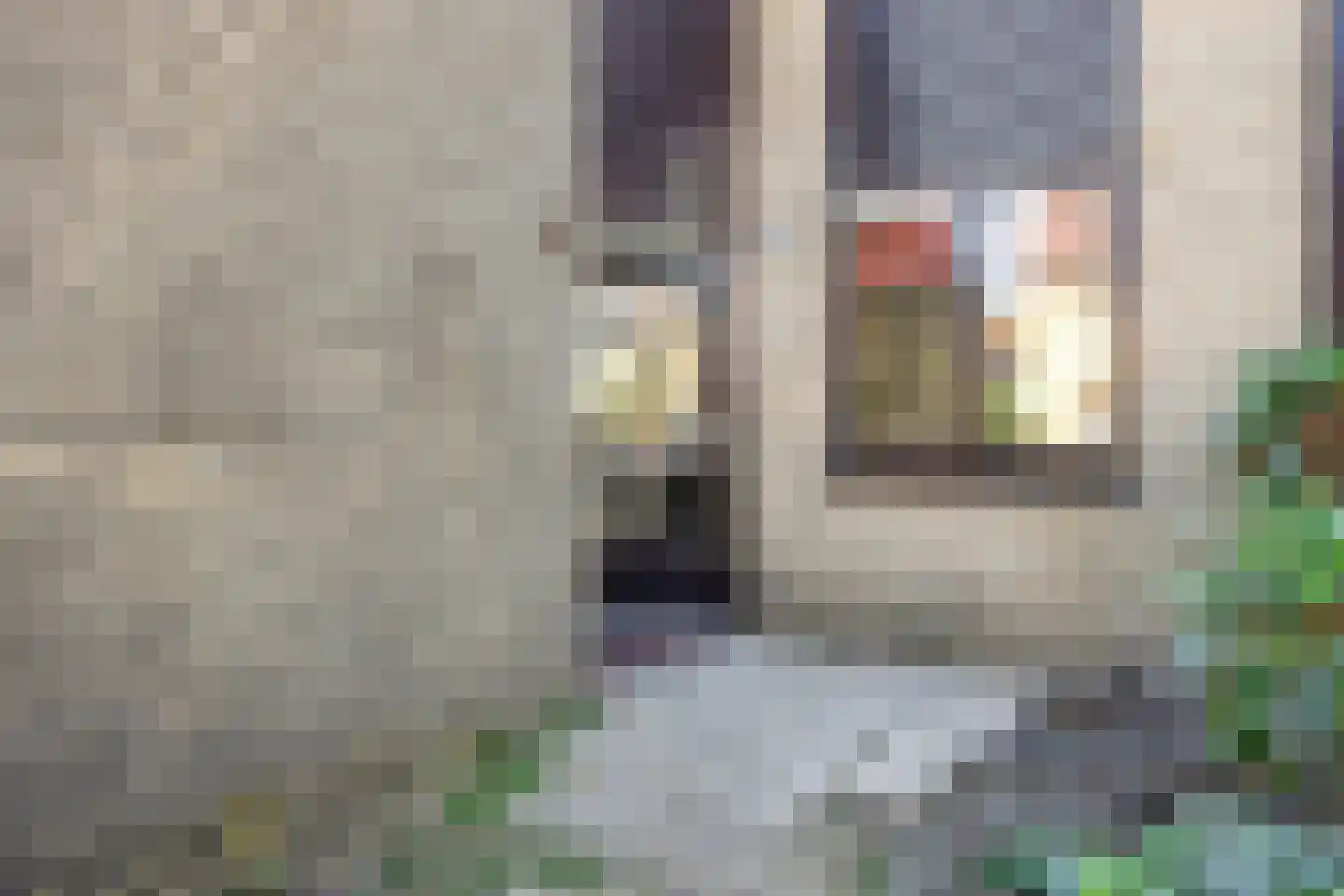 Red Debroystraat 32 Rotterdam thumbnail 4