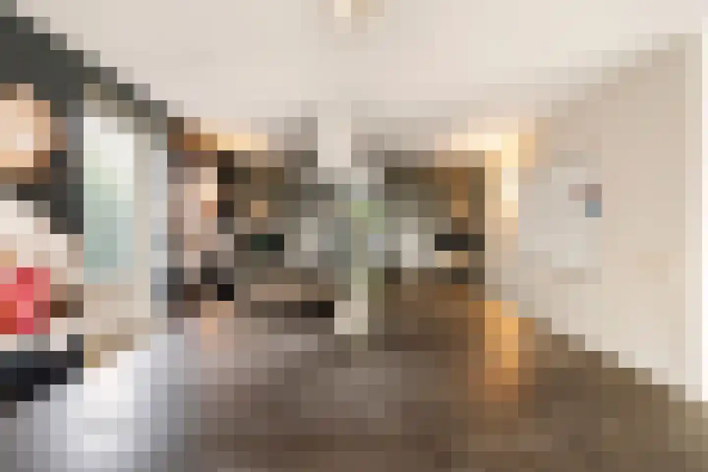 Redan 12 Naarden thumbnail 11