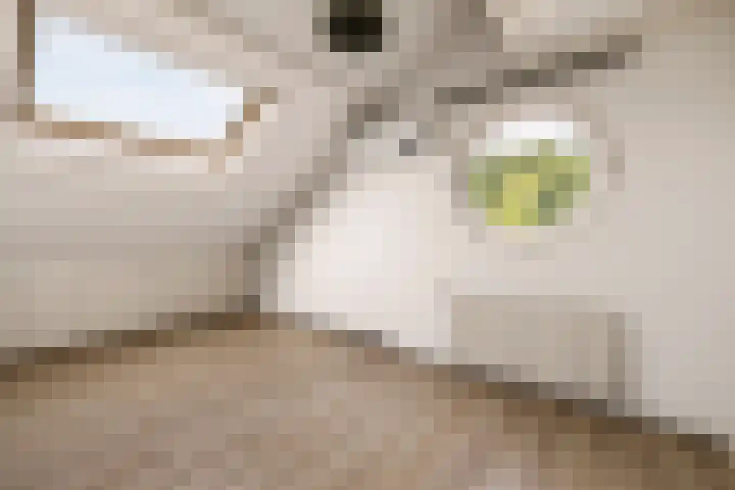 Redan 12 Naarden thumbnail 32