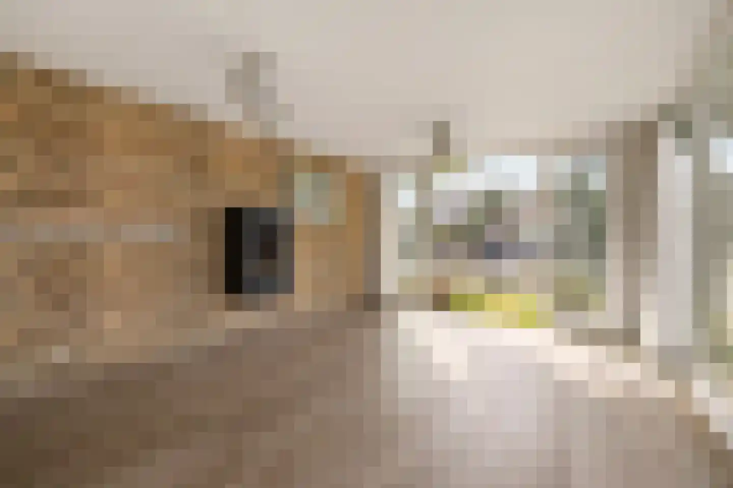 Redan 12 Naarden thumbnail 41