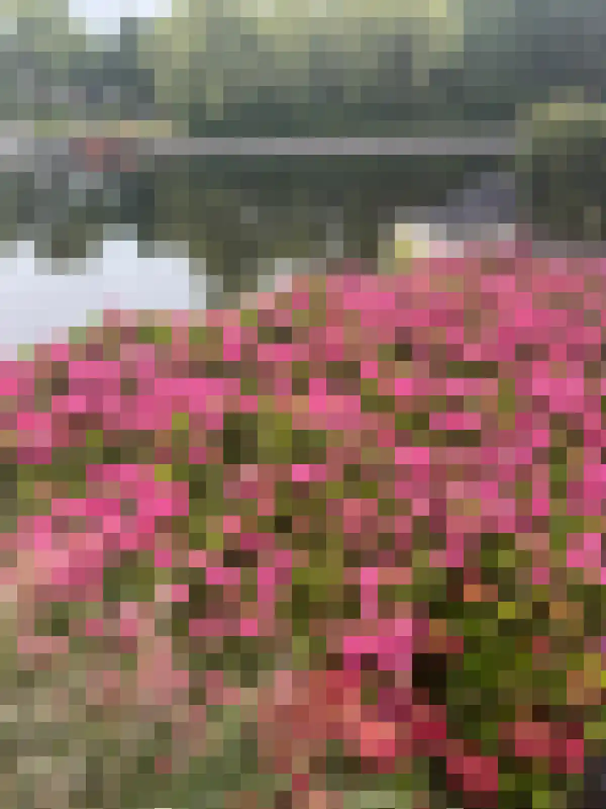 Redan 36 Naarden thumbnail 31