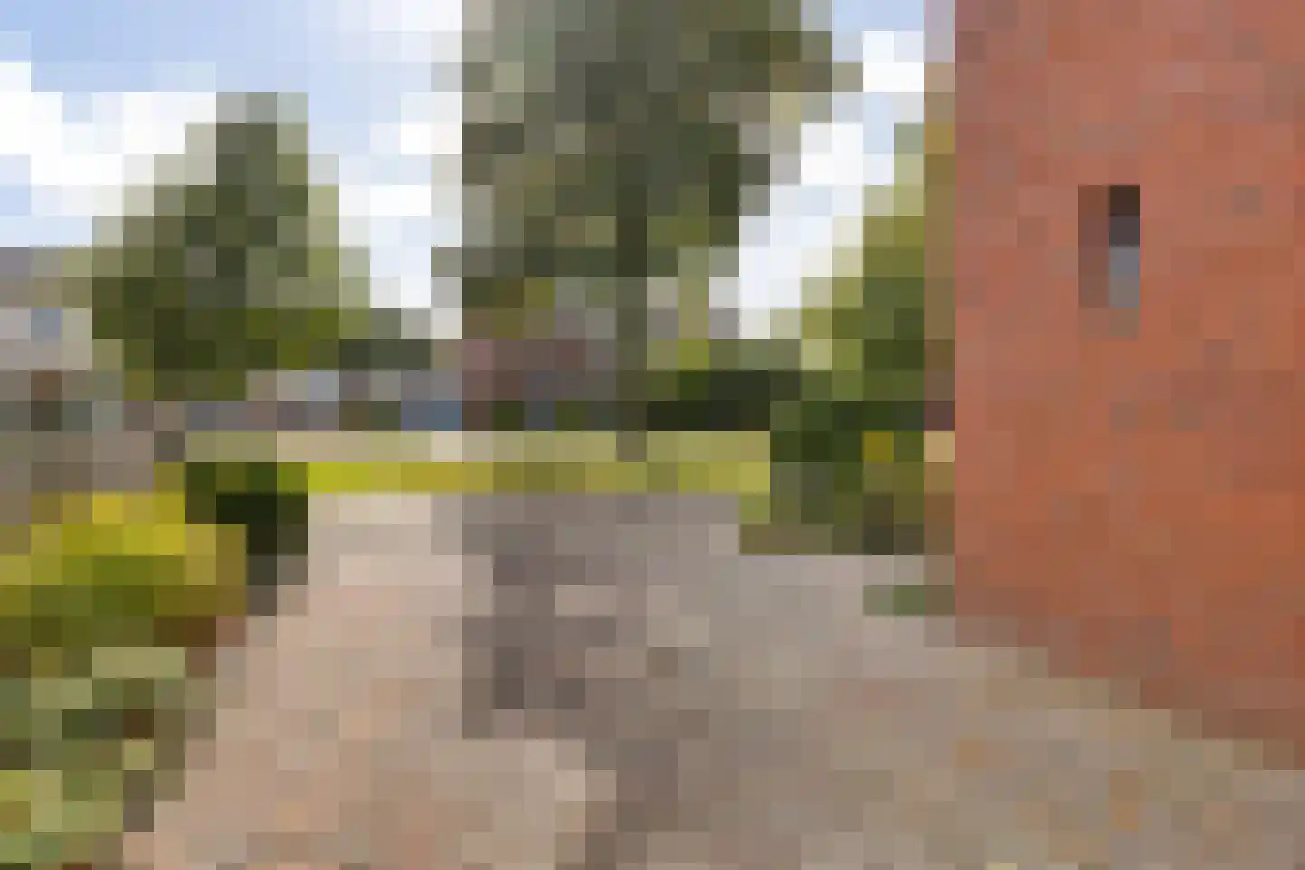 Reddingiusstraat 14 Ten Boer thumbnail 14