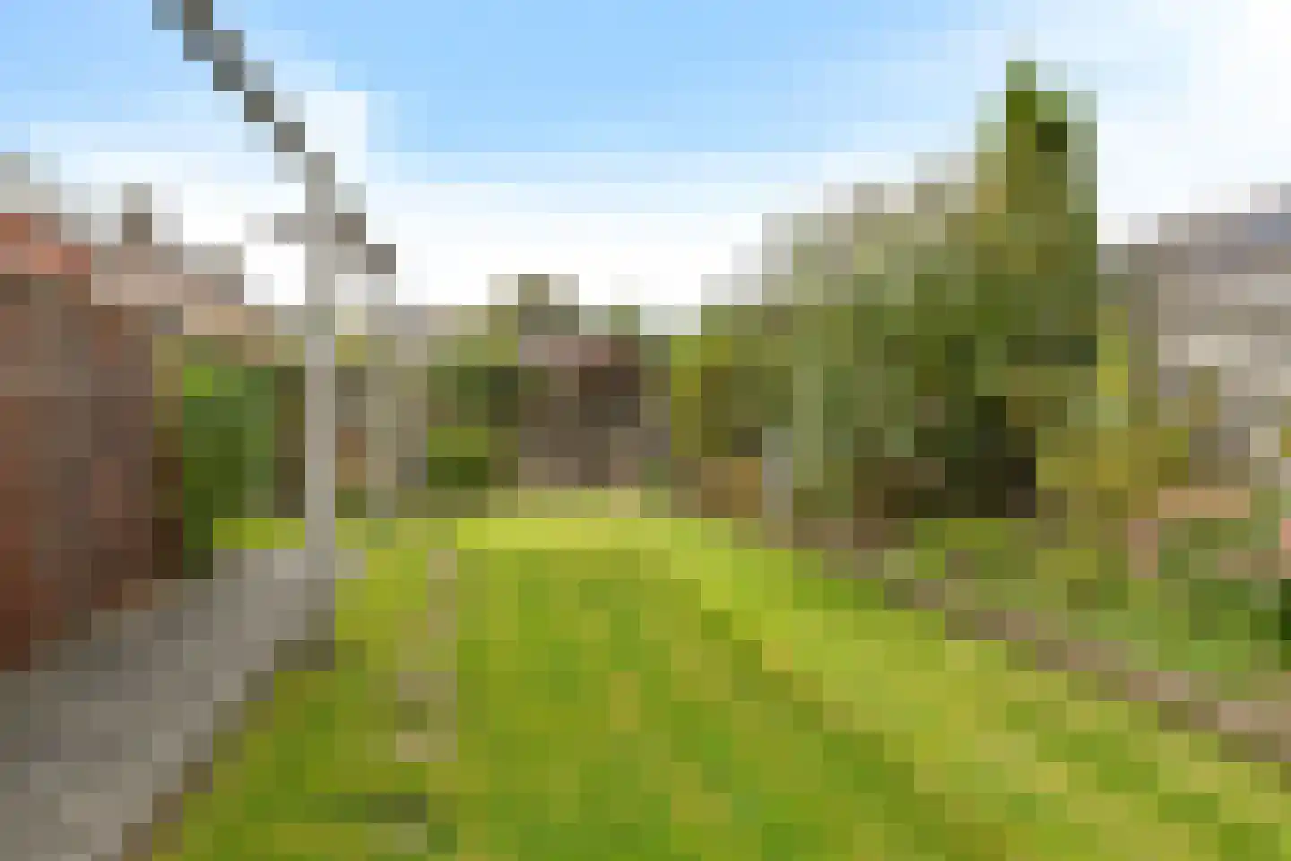 Reddingiusstraat 14 Ten Boer thumbnail 18