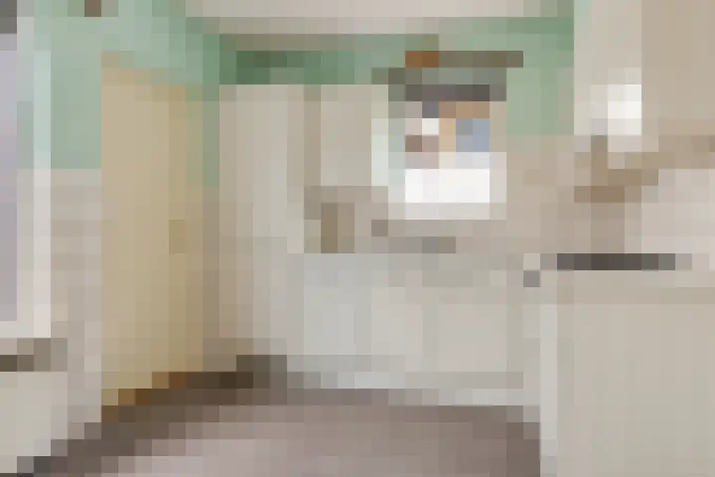 Reddingiusstraat 14 Ten Boer thumbnail 34