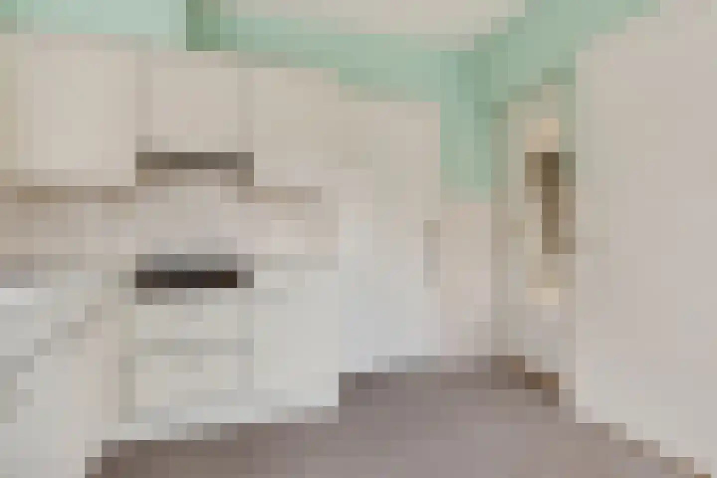 Reddingiusstraat 14 Ten Boer thumbnail 35