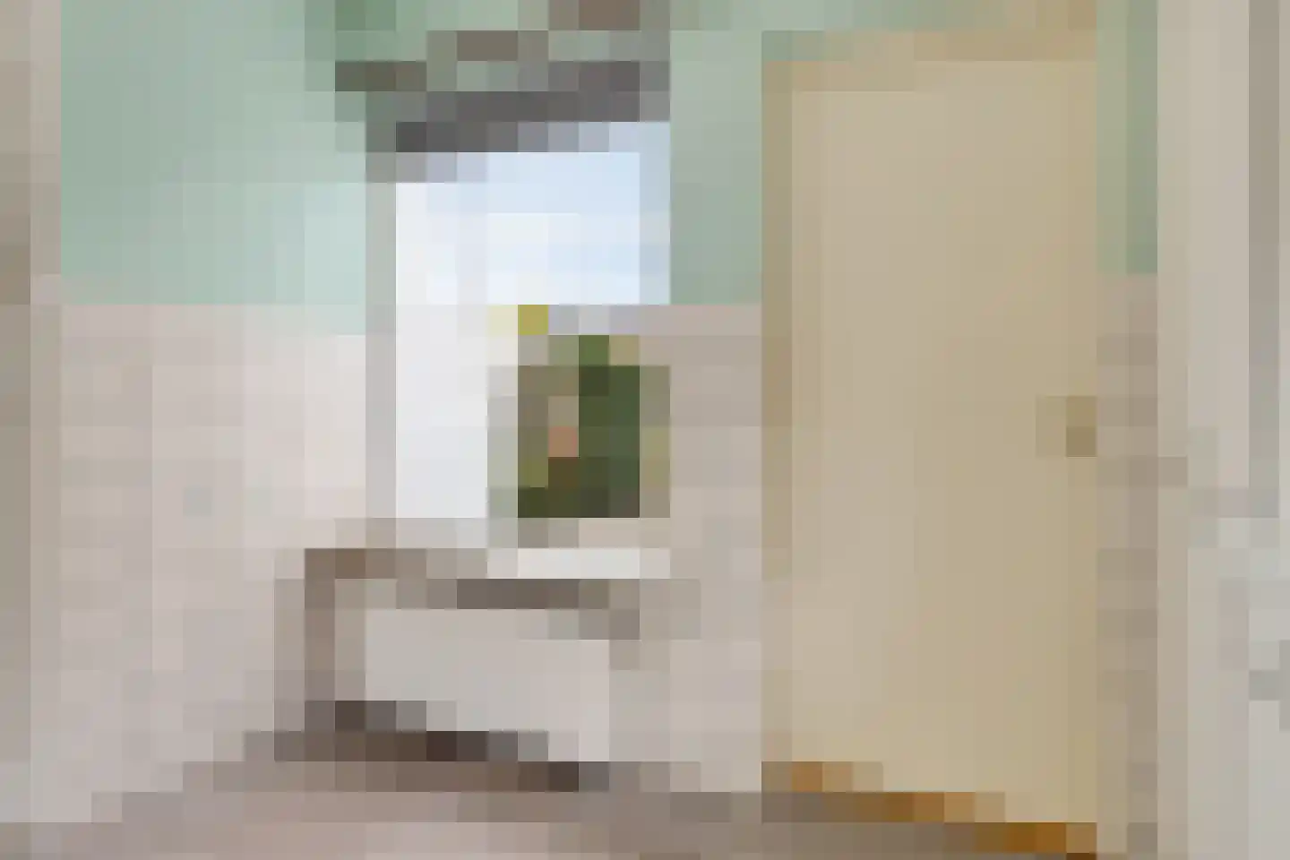 Reddingiusstraat 14 Ten Boer thumbnail 37