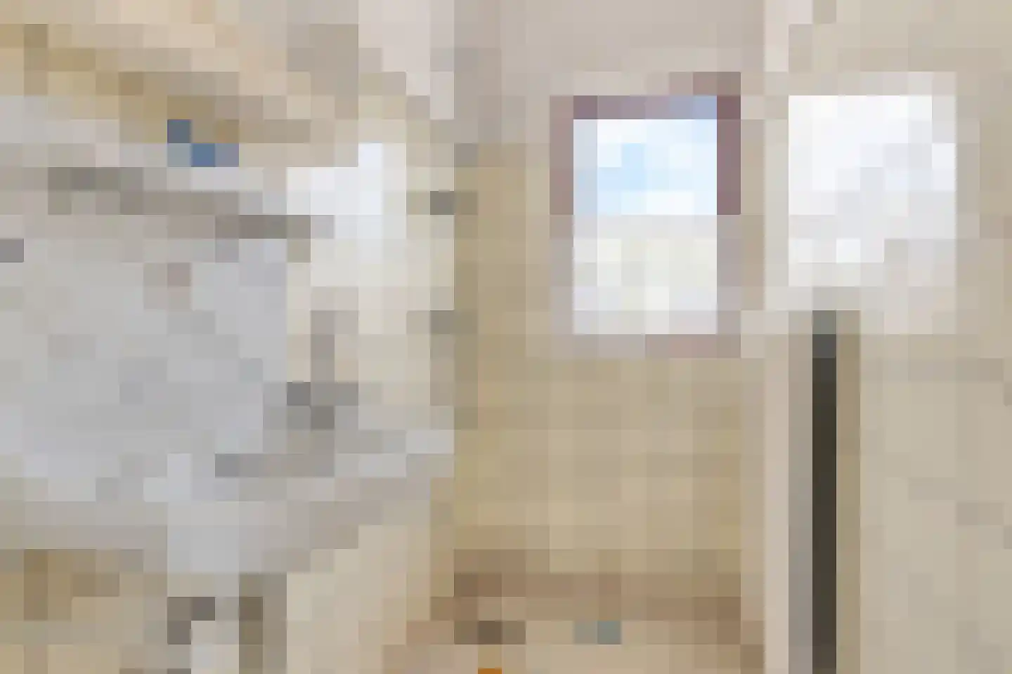 Reddingiusstraat 14 Ten Boer thumbnail 52