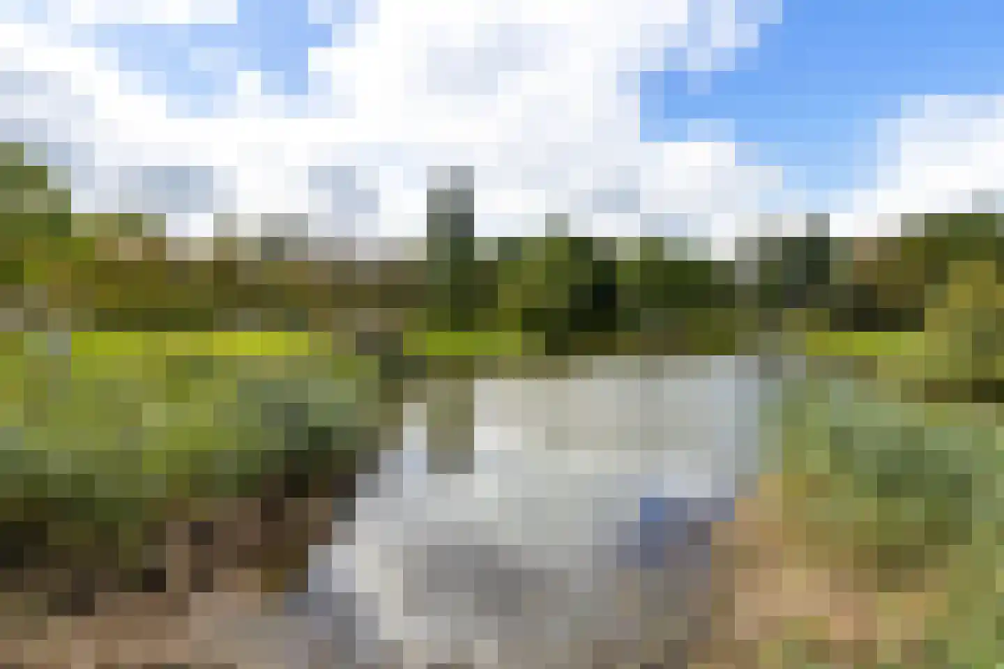 Reddingiusstraat 14 Ten Boer thumbnail 6