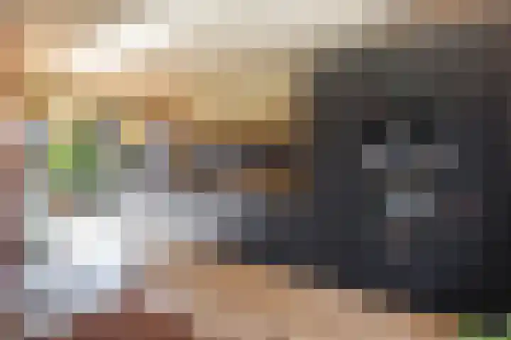 Reddingiusstraat 4 Ten Boer thumbnail 15
