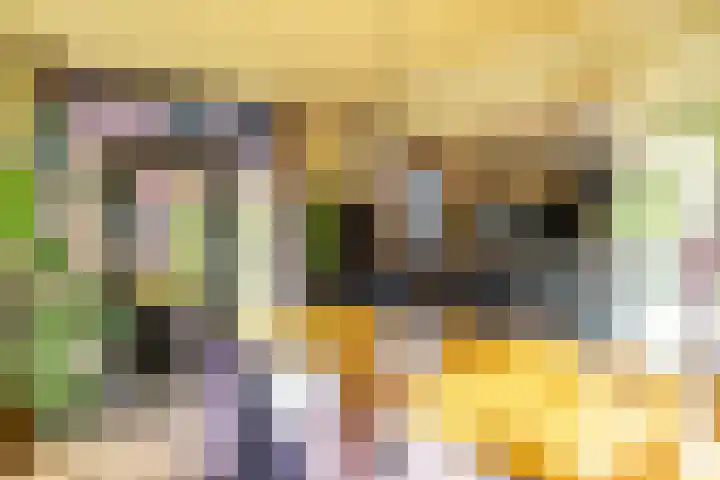 Reddingiusstraat 4 Ten Boer thumbnail 18