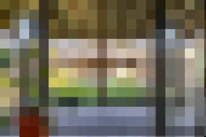 Reddingiusstraat 4 Ten Boer thumbnail 22